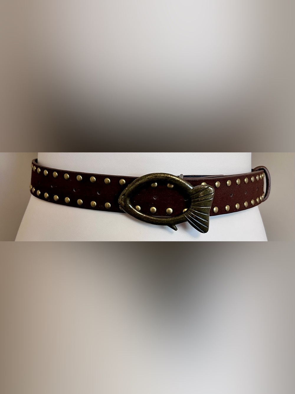 NWT - Cider Studded Fish Belt in Coffee - Picture 4 of 6